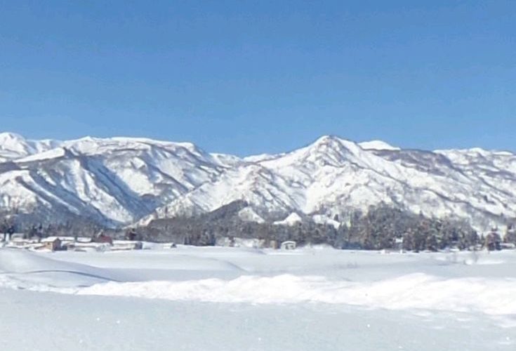 Salju di Indonesia: Fenomena, Lokasi, dan Keunikan Alam
