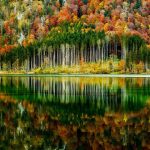 Musim di Indonesia: Jenis, Ciri-Ciri, dan Pengaruhnya terhadap Kehidupan Sehari-Hari