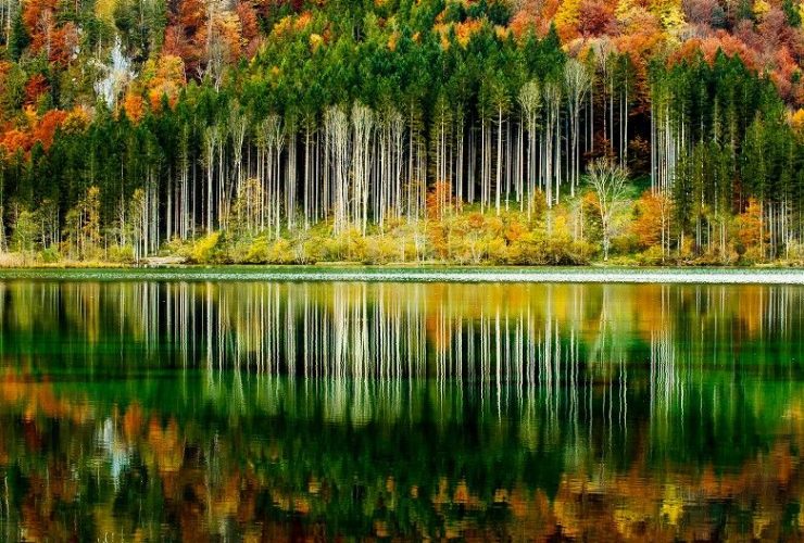 Musim di Indonesia: Jenis, Ciri-Ciri, dan Pengaruhnya terhadap Kehidupan Sehari-Hari