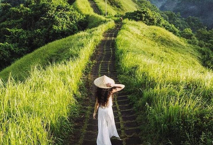 Campuhan Ridge Walk: Panduan Lengkap Menikmati Keindahan Ubud