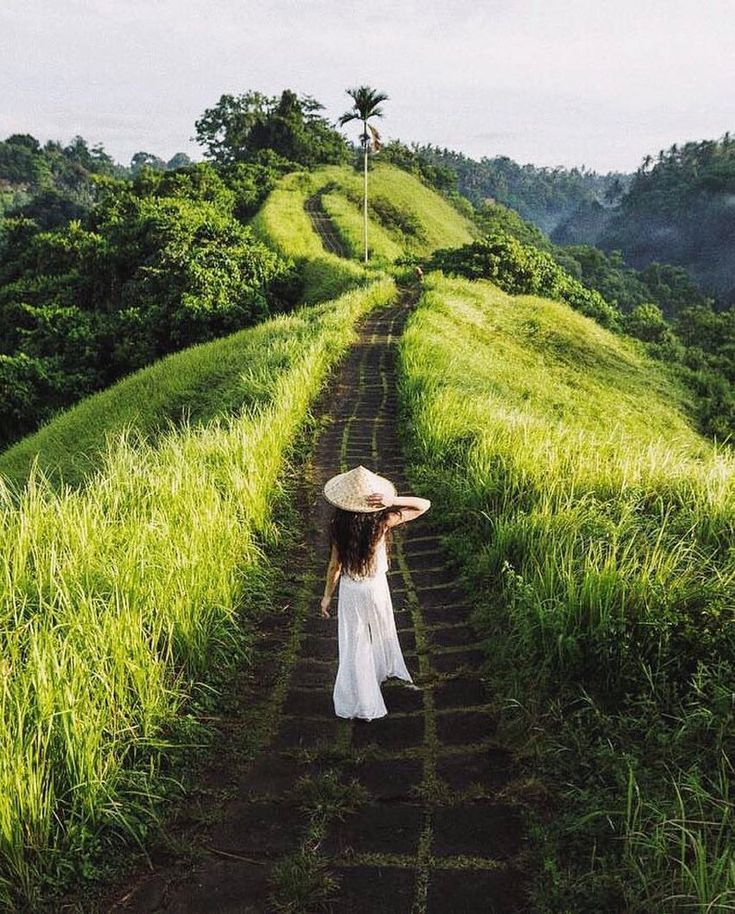 Campuhan Ridge Walk: Panduan Lengkap Menikmati Keindahan Ubud