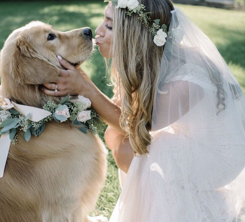 Kenapa Anjing Tidak Bisa Kawin dengan Manusia? Fakta Biologi, Mitos, dan Edukasi